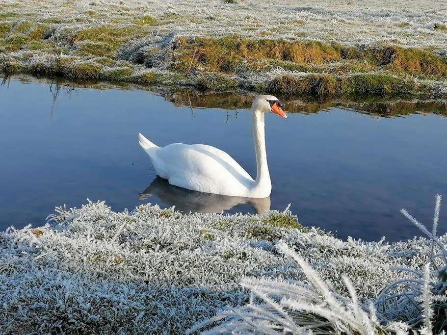 Le Logis Du Heron Coulon Dış mekan fotoğraf